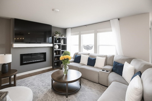 270 NW Charlestown Ln, Waukee, IA 50263 - living room featuring wood finished floors and a glass covered fireplace