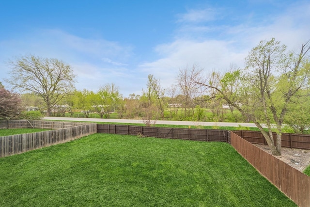 view of yard featuring a fenced backyard