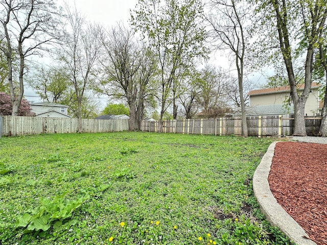 view of yard with a fenced backyard