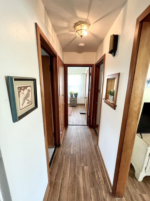 hallway with dark wood-type flooring
