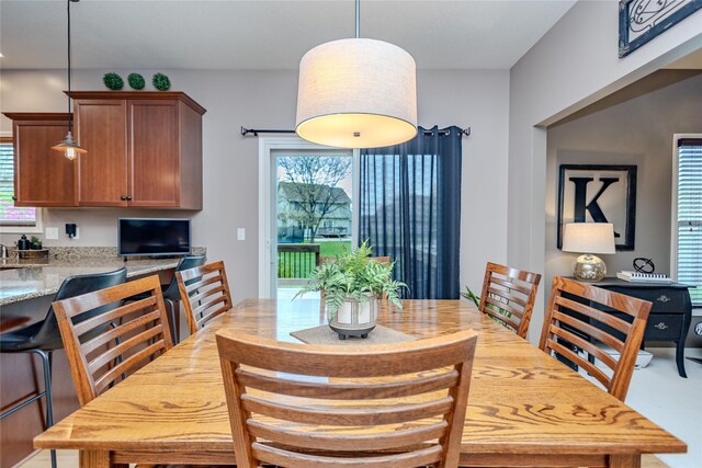 4208 SW Camden Ridge Dr, Ankeny, IA 50023 - dining room featuring plenty of natural light