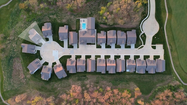 bird's eye view