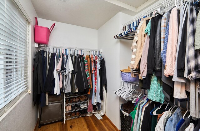 520 SE Murphy Dr, Waukee, IA 50263 - walk in closet with wood finished floors