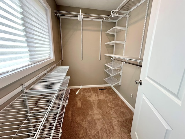 spacious closet featuring carpet floors