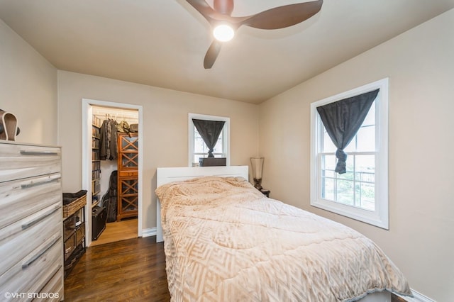bedroom featuring a walk in closet, multiple windows, baseboards, and dark wood-style flooring