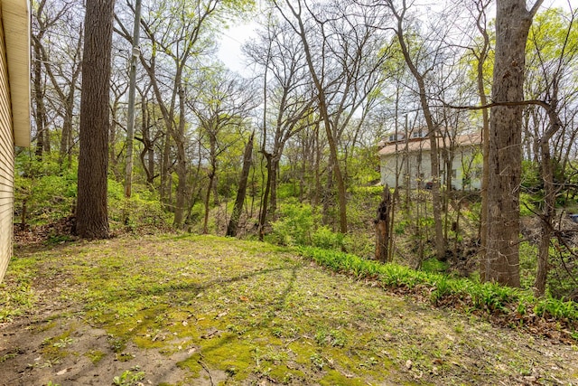view of yard featuring a view of trees