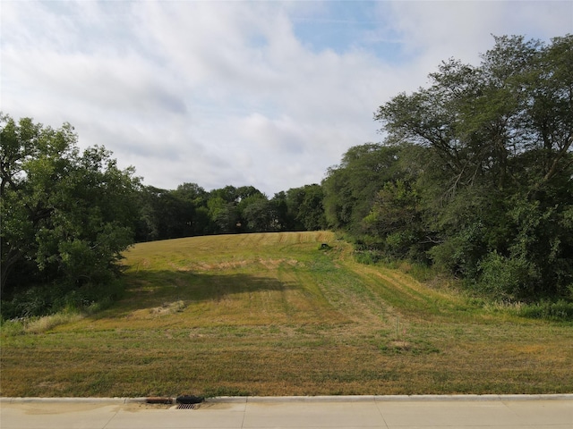 view of local wilderness featuring a wooded view