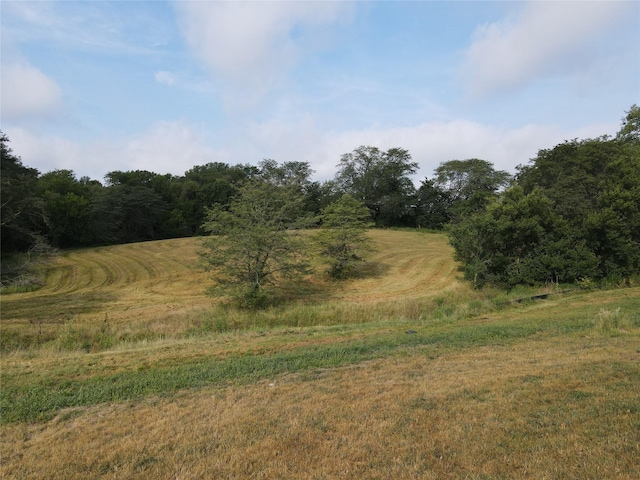 view of landscape featuring a forest view and a rural view