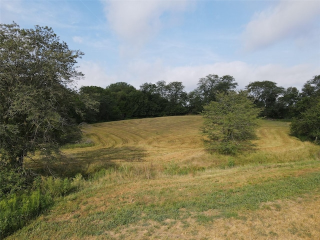 view of local wilderness