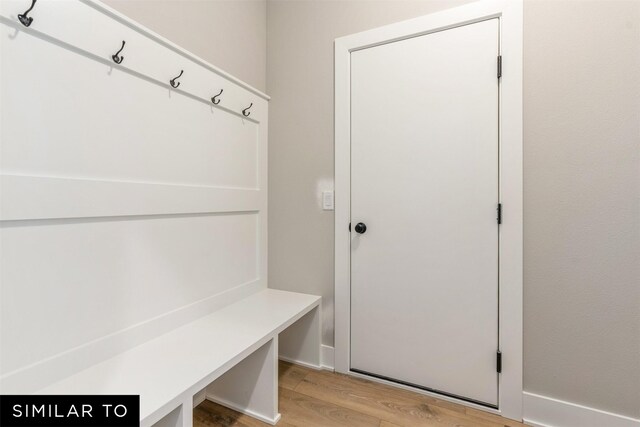 2917 6th Ave SW, Altoona, IA 50009 - mudroom with light wood-type flooring