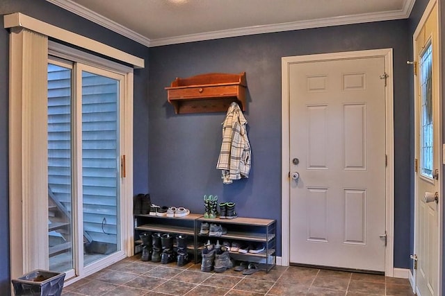 mudroom with crown molding, baseboards, and plenty of natural light