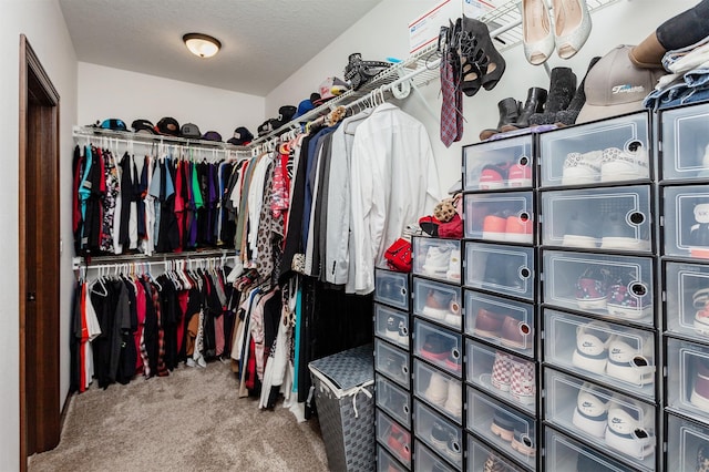 218 34th St SE, Altoona, IA 50009 - spacious closet with carpet flooring