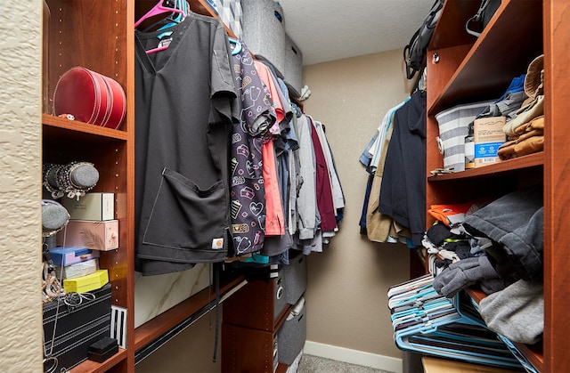 1009 NW Orchard Dr, Ankeny, IA 50023 - spacious closet featuring carpet floors