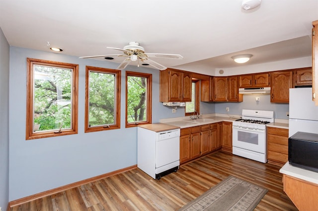 kitchen featuring brown cabinetry, wood finished floors, white appliances, light countertops, and under cabinet range hood