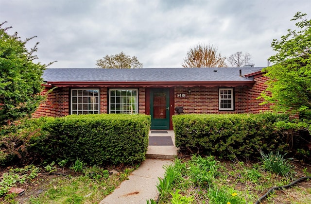 ranch-style home with roof with shingles and brick siding