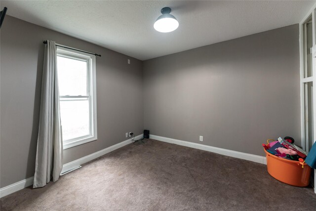 223 E Belmont St, Milo, IA 50166 - spare room with carpet floors, a textured ceiling, baseboards, and a healthy amount of sunlight