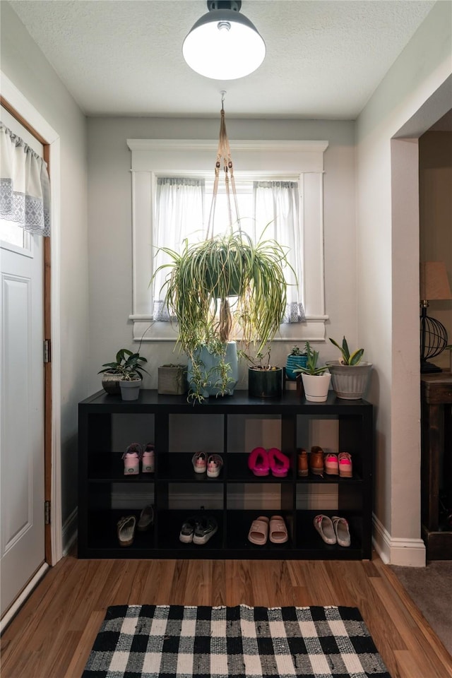 foyer with baseboards, a textured ceiling, and wood finished floors