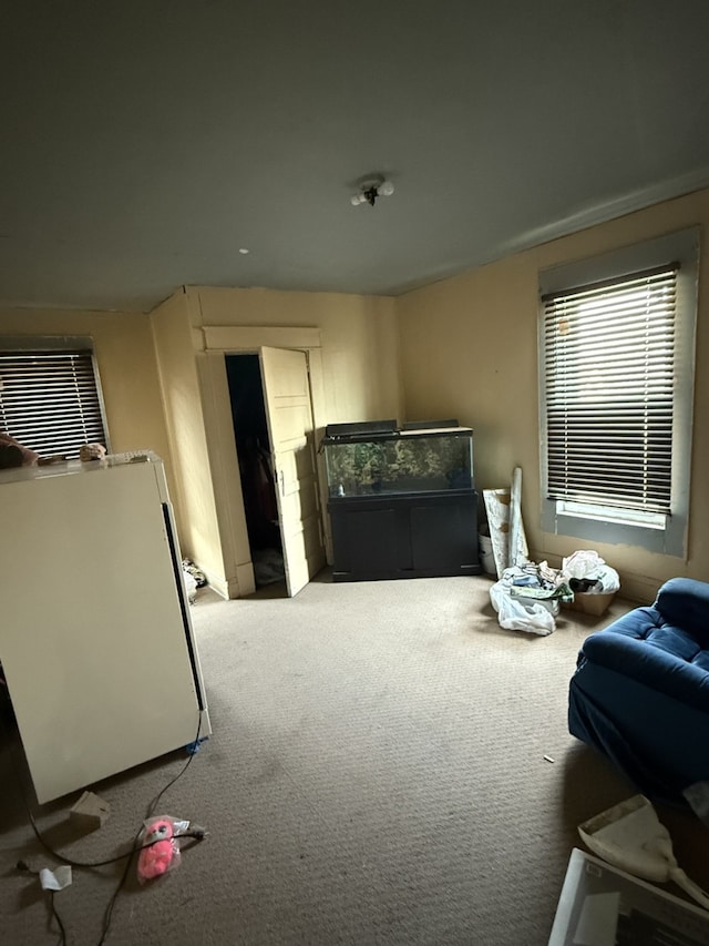 bedroom featuring carpet flooring
