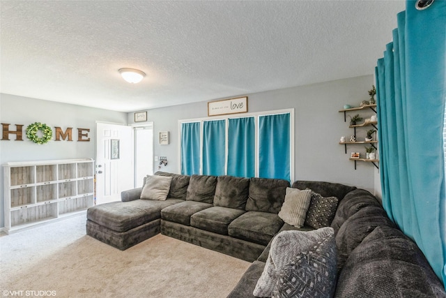 living area featuring a textured ceiling and carpet
