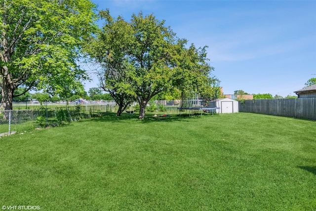 view of yard featuring a storage unit and an outdoor structure