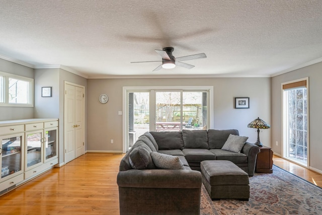 living area featuring ornamental molding, a ceiling fan, and light wood-type flooring