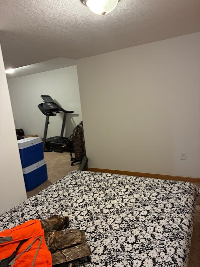 interior space featuring baseboards, carpet, and a textured ceiling