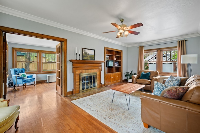 living room featuring crown molding, radiator, ceiling fan, and hardwood / wood-style flooring