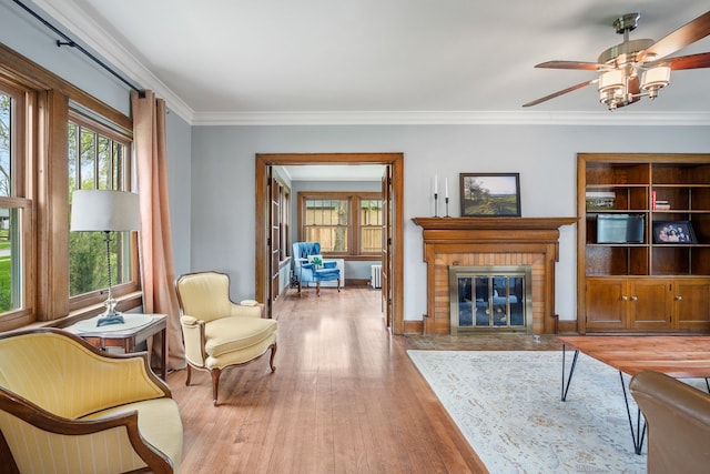 living area featuring a ceiling fan, a fireplace, wood finished floors, radiator, and ornamental molding