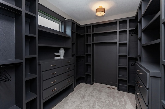spacious closet with carpet floors and visible vents