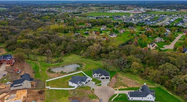 bird's eye view