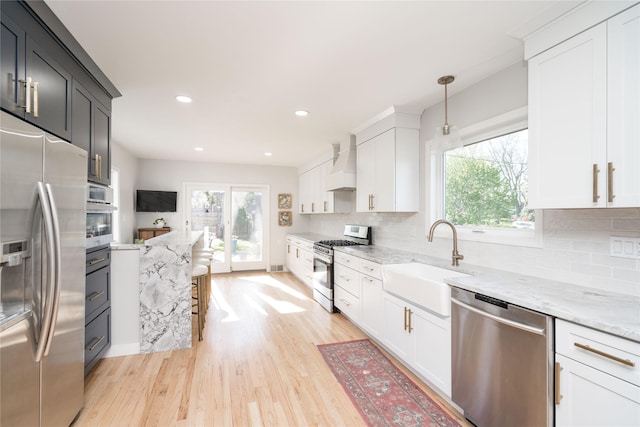 kitchen with a sink, appliances with stainless steel finishes, plenty of natural light, and custom range hood