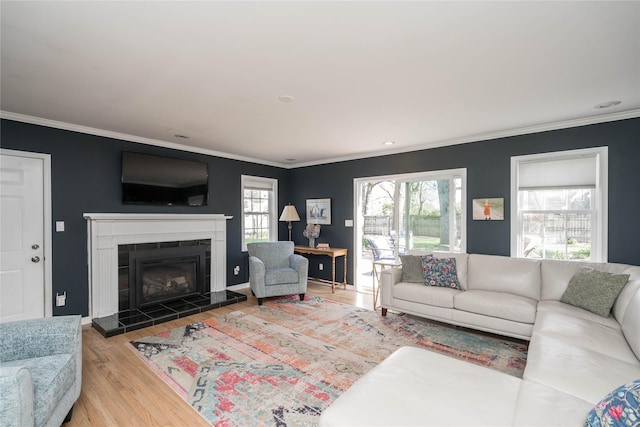 living area featuring baseboards, ornamental molding, wood finished floors, and a fireplace