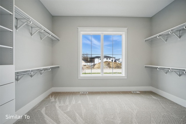 7325 NW Beaver Dr, Johnston, IA 50131 - walk in closet with carpet flooring and visible vents