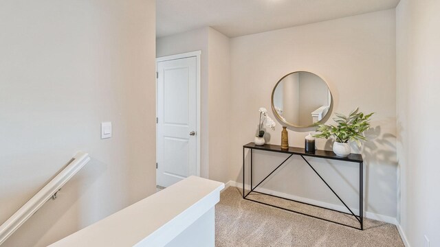 4756 171st St, Urbandale, IA 50323 - photo 10