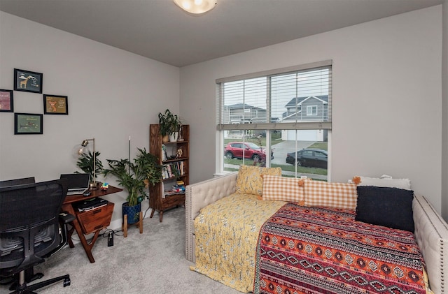 705 SE Drumlin Dr, Waukee, IA 50263 - photo 29