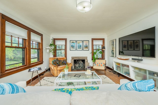 living area featuring baseboards, a fireplace with raised hearth, and wood finished floors