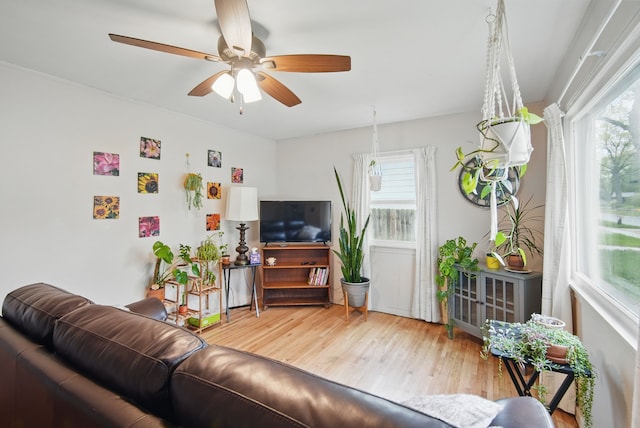 4131 Cornell St, Des Moines, IA 50313 - living room featuring a ceiling fan and wood finished floors