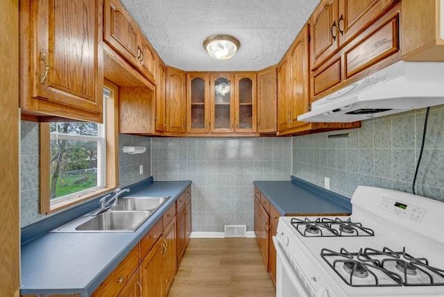 4038 57th St, Des Moines, IA 50310 - kitchen featuring visible vents, brown cabinetry, white gas range, a sink, and light wood-style flooring