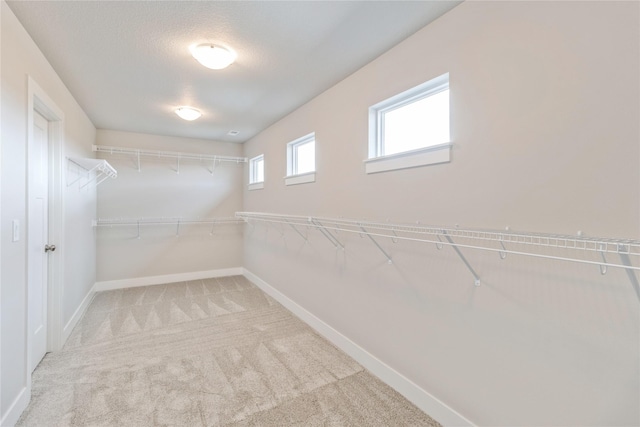walk in closet with carpet flooring