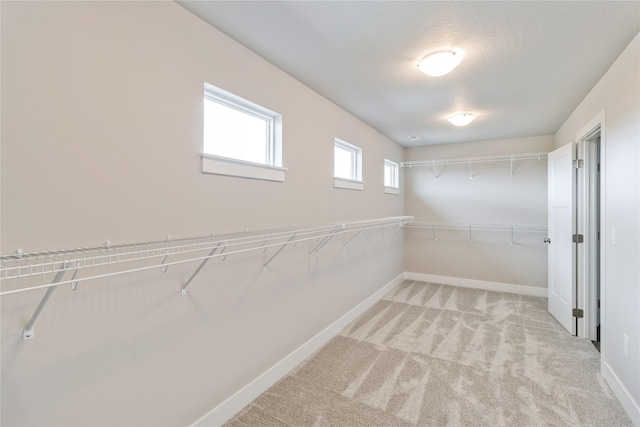walk in closet with light colored carpet