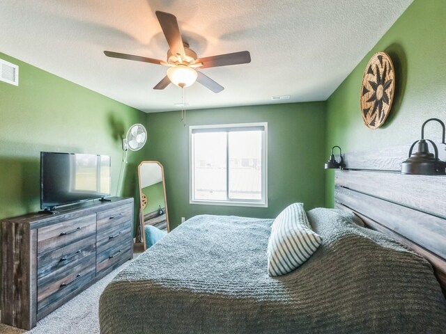 4209 NW 13th St, Ankeny, IA 50023 - photo 10