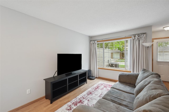 living room with baseboards, wood finished floors, and a wealth of natural light