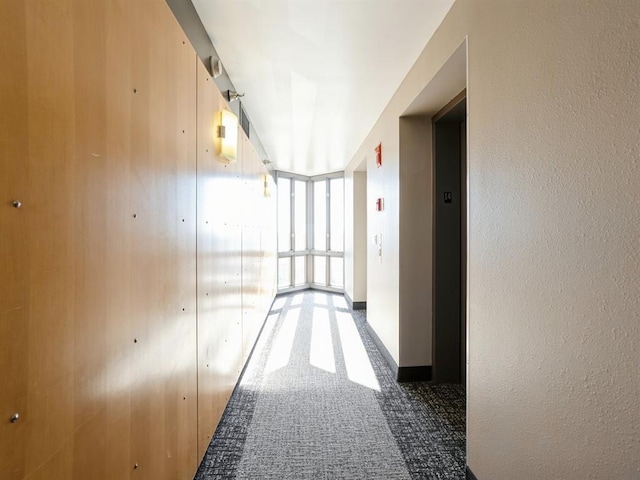 hallway with carpet flooring and expansive windows