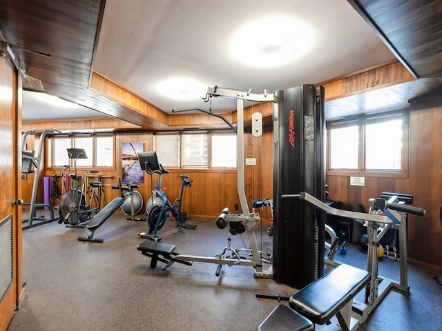 workout area featuring wood walls and a wealth of natural light