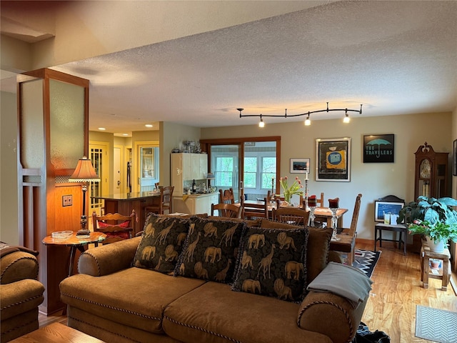 living area featuring baseboards, a textured ceiling, and wood finished floors