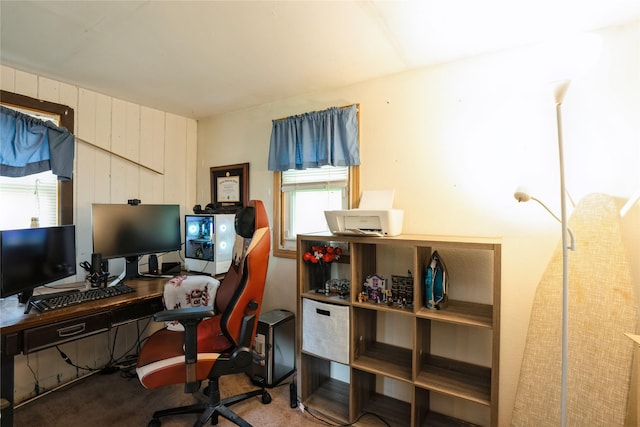carpeted home office featuring a wealth of natural light
