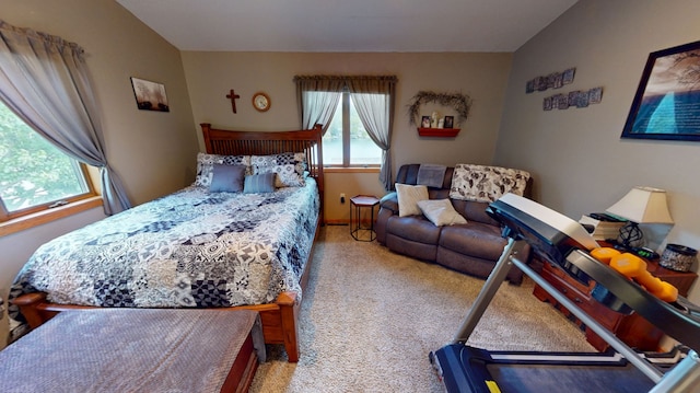 5030 N Lakeshore Dr, Brooklyn, IA 52211 - photo 11