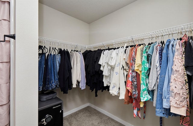1150 NW Williamsburg Ln, Waukee, IA 50263 - spacious closet featuring carpet