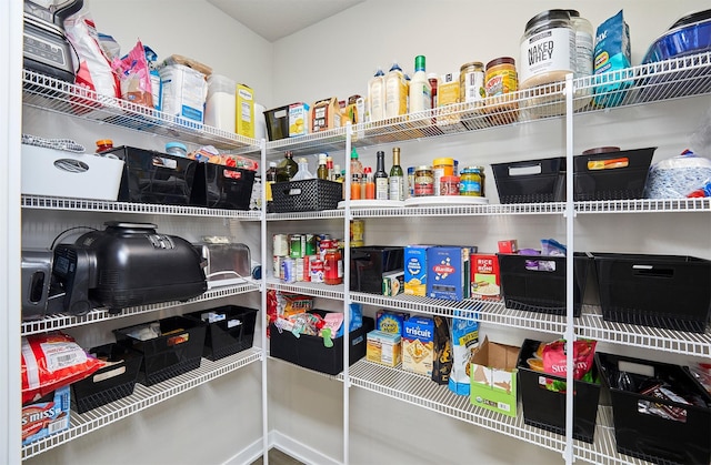 1150 NW Williamsburg Ln, Waukee, IA 50263 - view of pantry