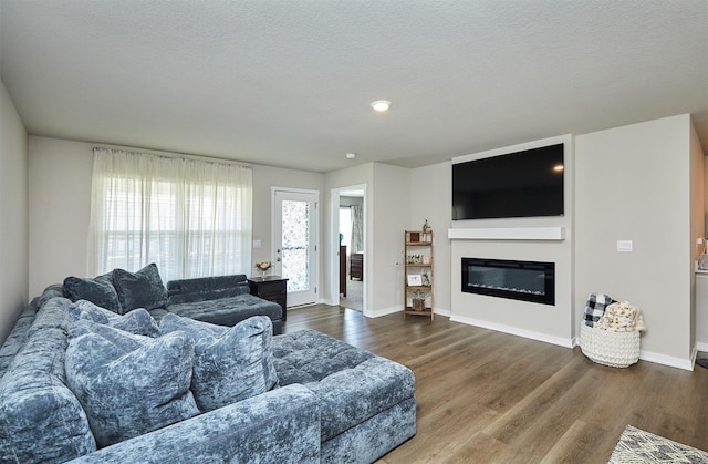 1150 NW Williamsburg Ln, Waukee, IA 50263 - living area with wood finished floors, a glass covered fireplace, baseboards, and a textured ceiling